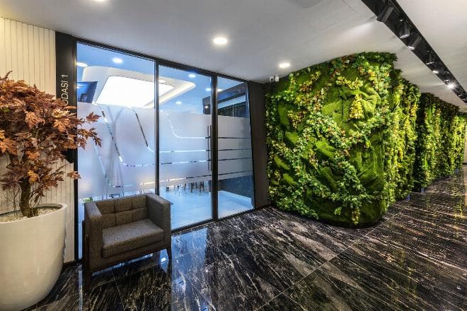 Smiles Turkey Istanbul